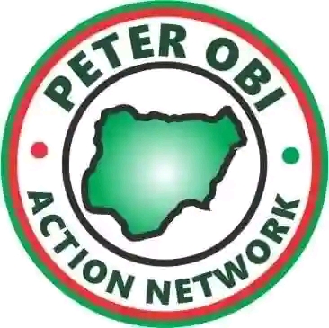 logo of Peter Obi Action Network