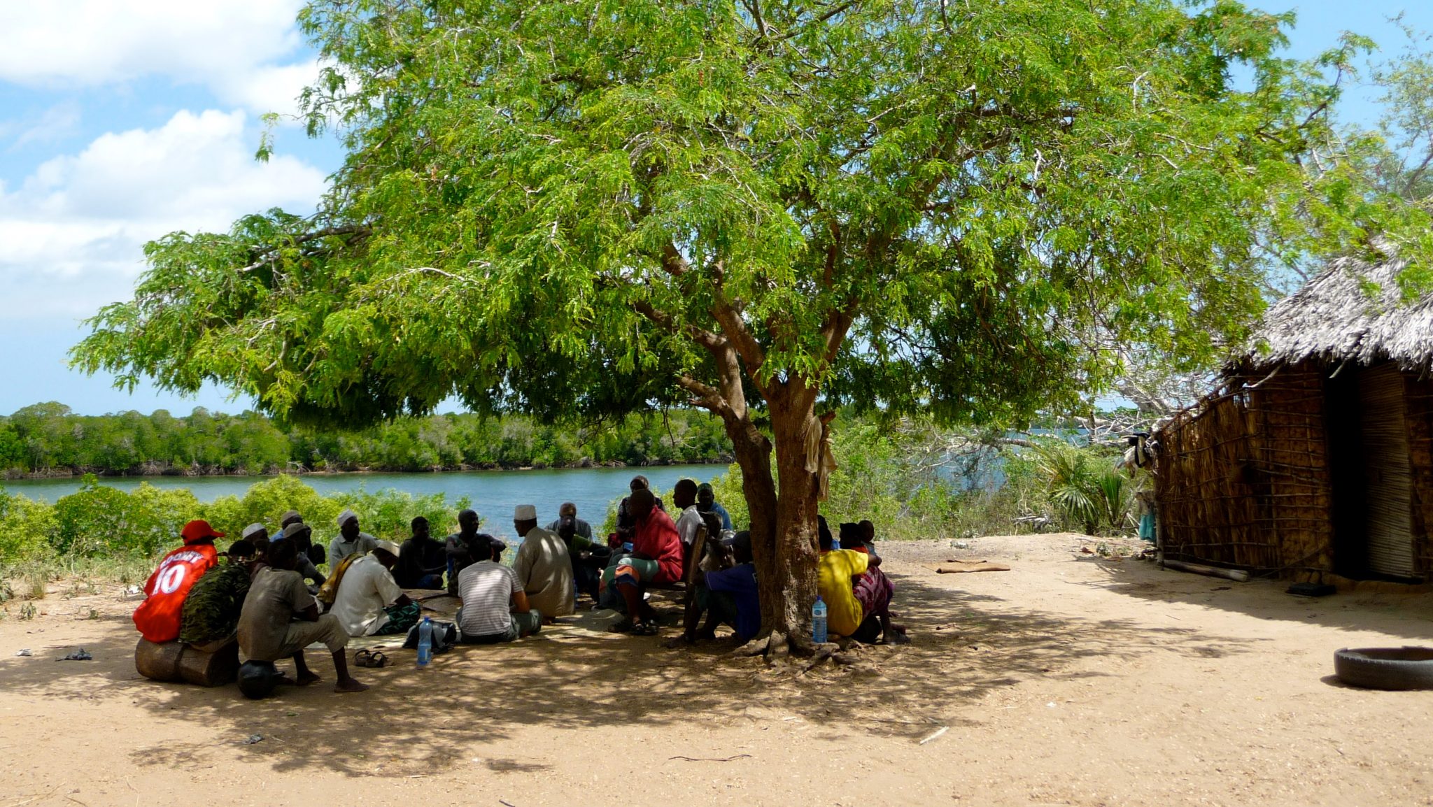 Community members gather under a large tree outside.