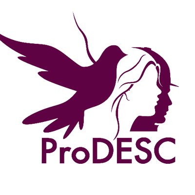 logo of Proyecto de Derechos Económicos, Sociales y Culturales AC (ProDESC)