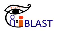 logo of Bangladesh Legal Aid and Services Trust (BLAST)