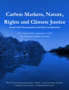 Roundtable Report: Carbon Markets, Nature, Rights and Climate Justice